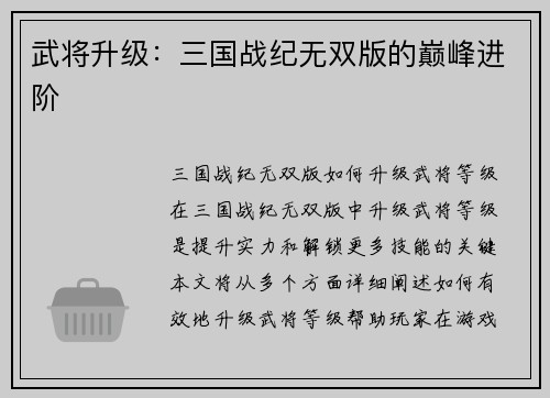 武将升级：三国战纪无双版的巅峰进阶